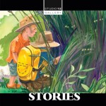 stories-art-show