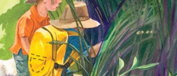 stories-art-show