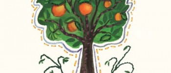 Orange Tree - Something to Cherish