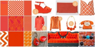 Tangerine Tango
